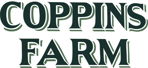 logo-web-600